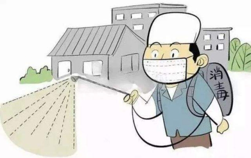 “亡羊补牢”构建成功之路的教训与策略